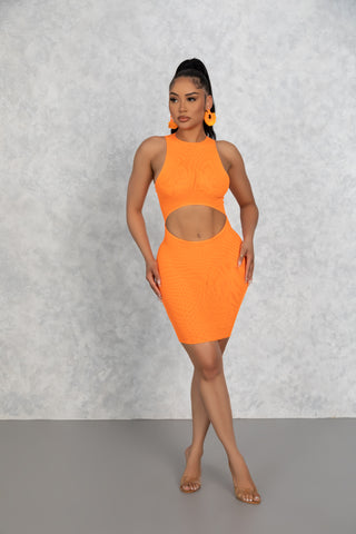 Orange Alessa Mesh Dress