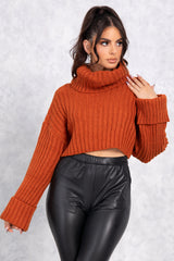 Cropped Turtle Neck Sweater - RUST